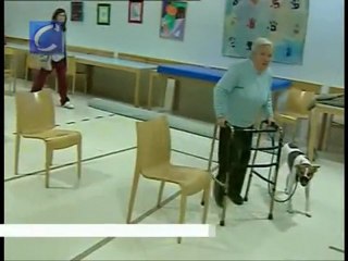 Nace en Valencia el proyecto ''Amigos de cuatro patas''