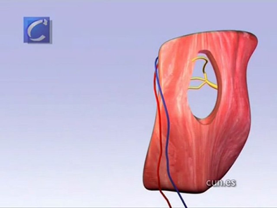 Un paciente con parálisis facial recupera la sonrisa tras una operación en la...