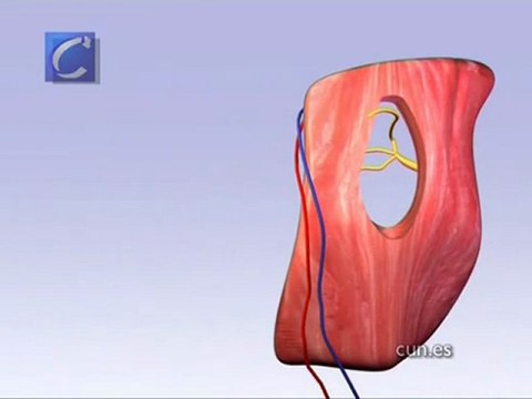 Un paciente con parálisis facial recupera la sonrisa tras una operación en la...