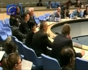 La OMS eleva el nivel de alerta por la gripe porcina al grado 5 sobre una escala de 6