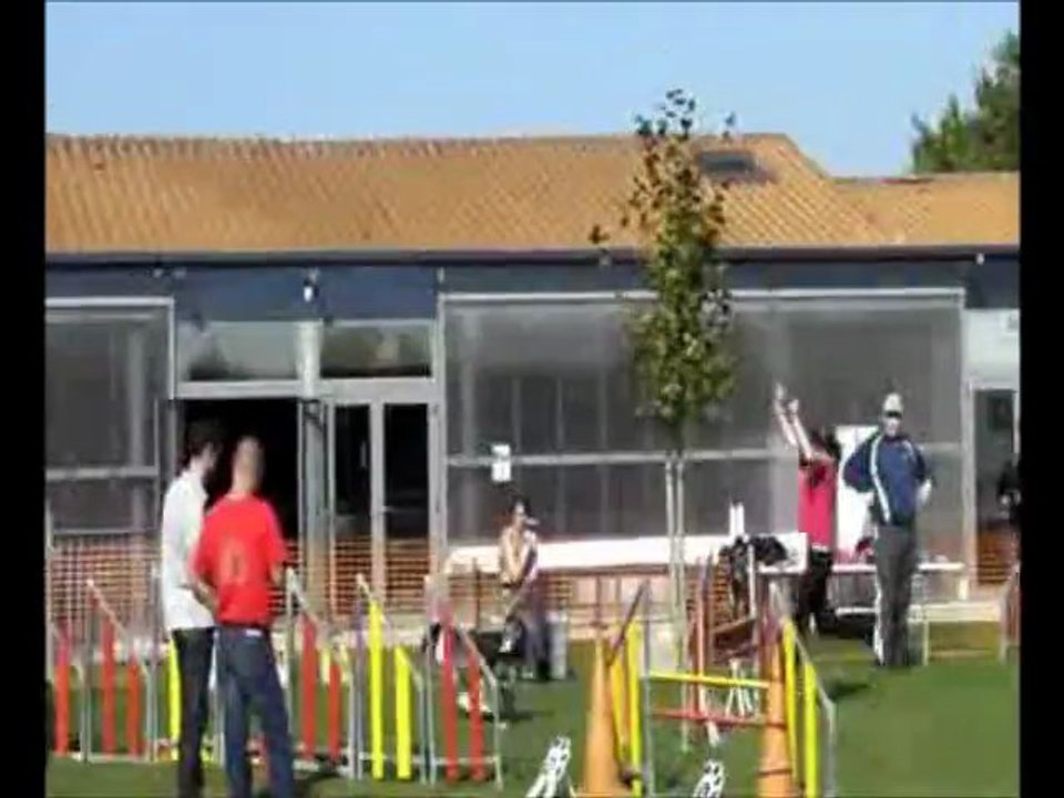 Charlène & Fashion 3 Concours d'Agility 3 Parties de Brevet !!!