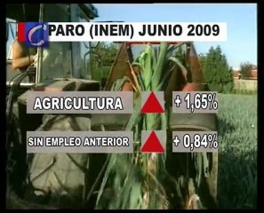 El paro bajó en junio en 55.250 personas, gracias al inicio de la temporada turística