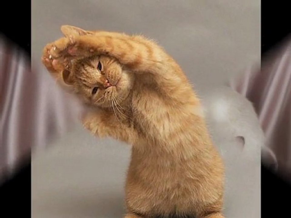 Damarımda kanımsın..Yorum Nevin Işık