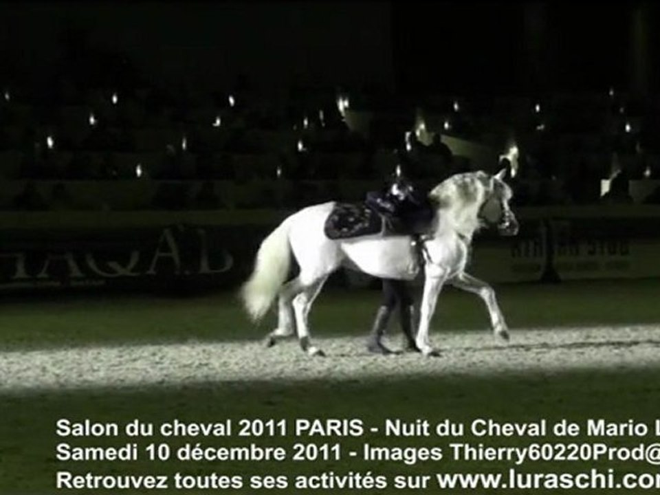 salon du cheval 2011 nuit du cheval Mario Luraschi dressage des chevaux