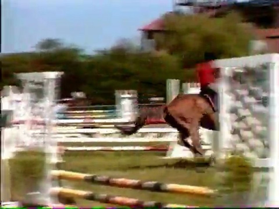 Historic Muzzle - Anhiers