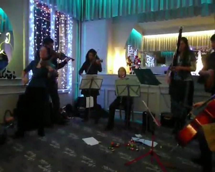 TAZ EN CONCERT (1)