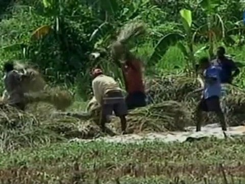 Los muertos por el cólera en Haití ascienden ya a 253 personas