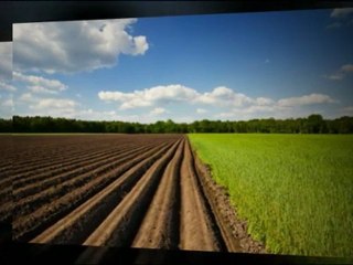 Guides and Tips for Land Auction Bidders