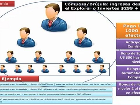 Franquicia de Turismo P149 Hybrid - Oportunidad de Negocio