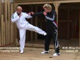 How to do Wing Chun Lesson 29- combo_ blocking a straight punch and countering with a side kick
