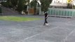 Smart dog training his master  using a tennis ball