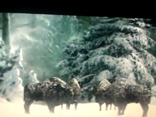 Niespodzianka od Żubra - Dla mnie na Święta - ZOBACZCIE SAMI