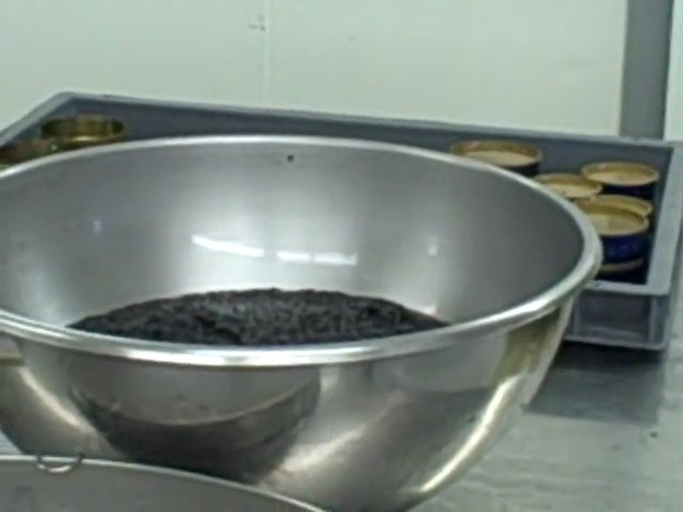 Préparation du caviar - Salage (la suite) © Papilles et Pupilles