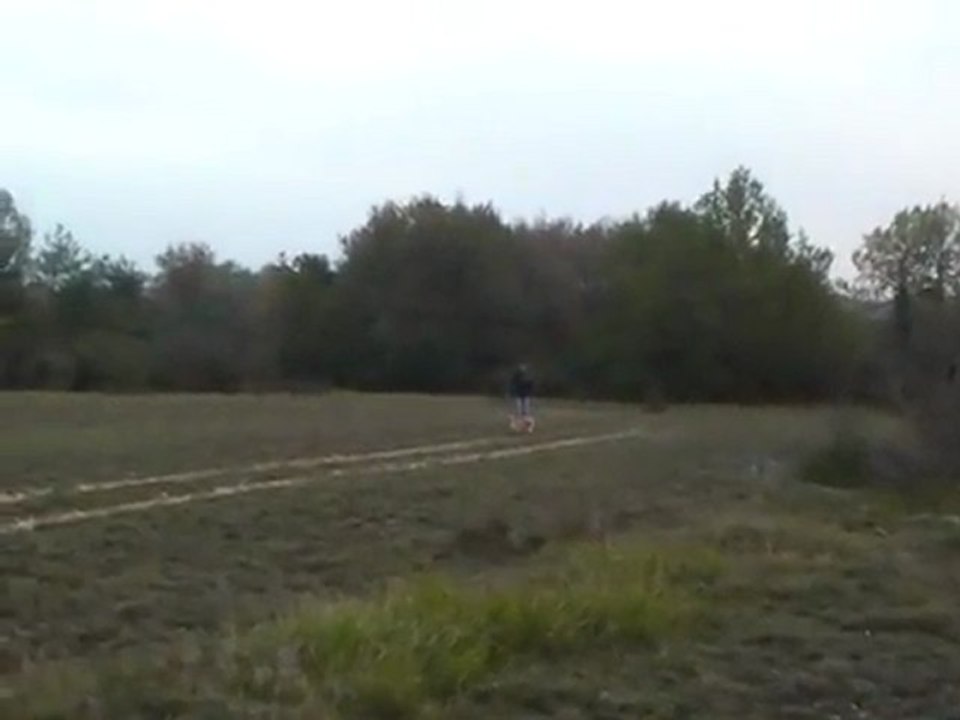 Recherche Utilitaire "Atelier" piste en T