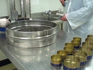 Préparation du caviar - Après le salage : Egouttage et mise en pot