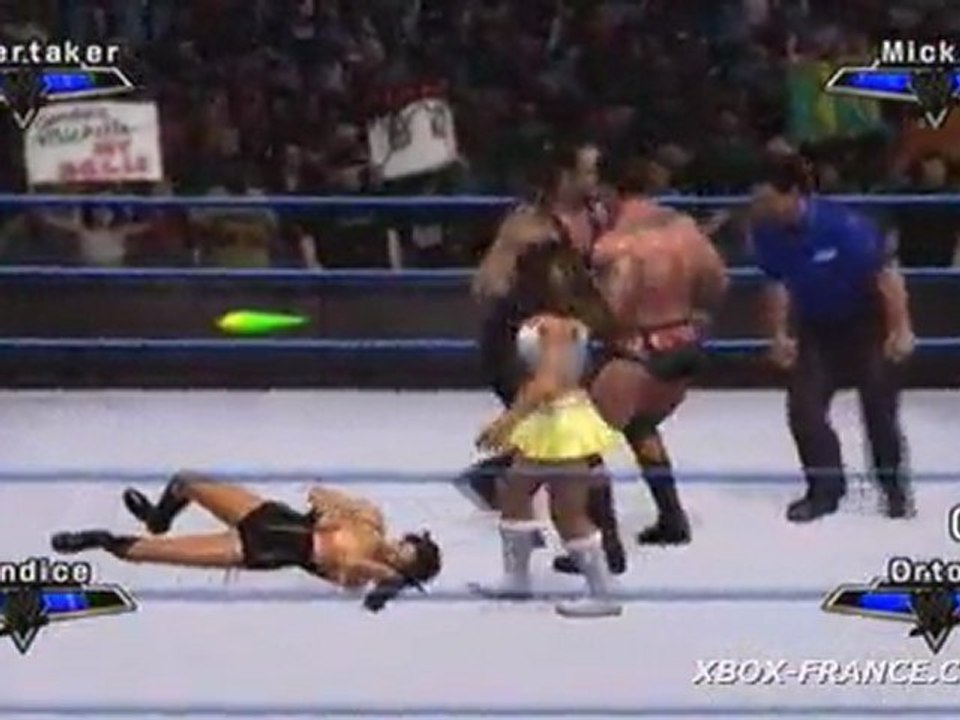 WWE SmackDown ! Vs. RAW 2007 (360) - Deux contre deux mixte
