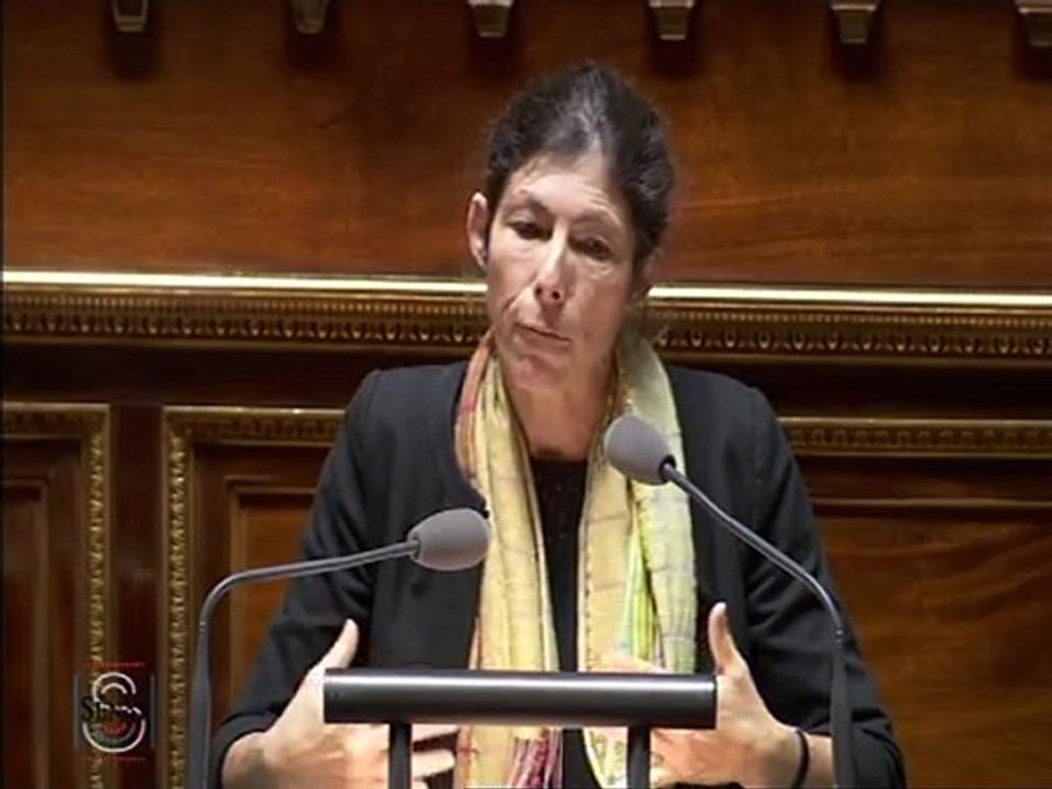 Carte d'identité électronique (2ème lecture) : Intervention de Virginie KLES dans la discussion générale le 3 novembre 2011