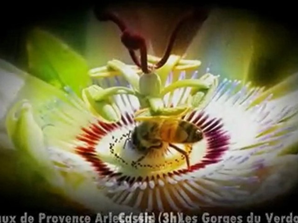 Taxis Officiels Aix en Provence et sa Gare TGV