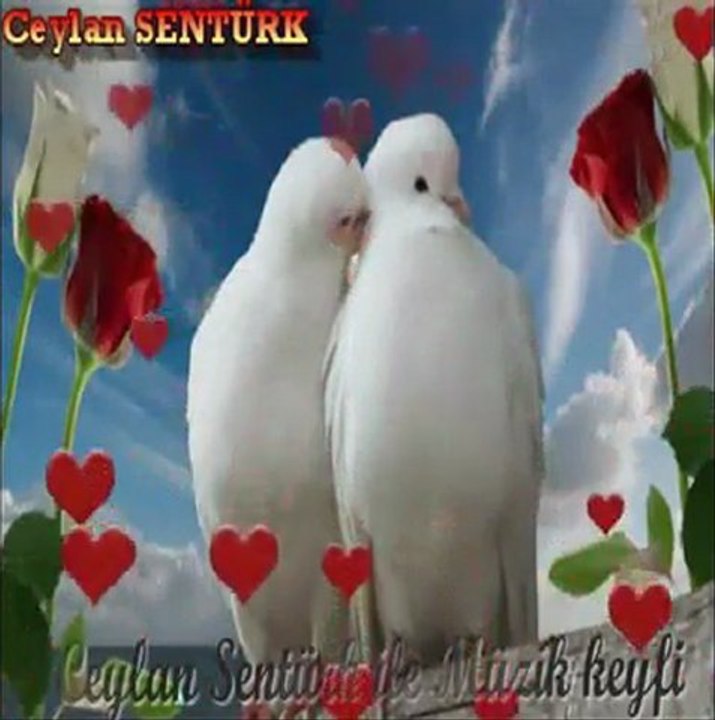 bitanen burada sen neredesin