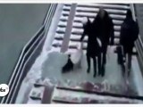 L'escalier glacé : la chute à tous les coups