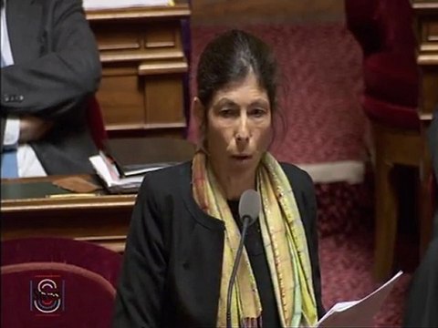 Carte d'identité électronique (2ème lecture) : explication de vote du groupe socialiste par Virginie KLES le 3 novembre 2011