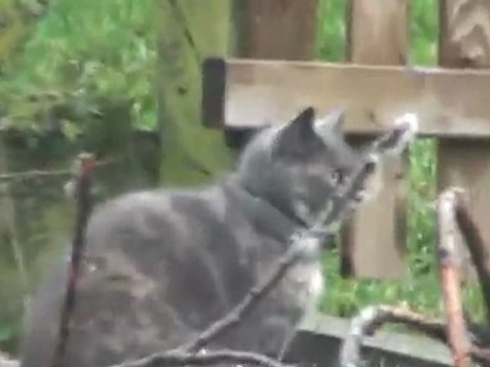 20101221134037