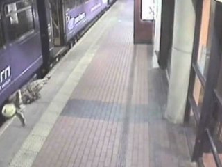 Ivre, elle chute du quai et se retrouve sous un train