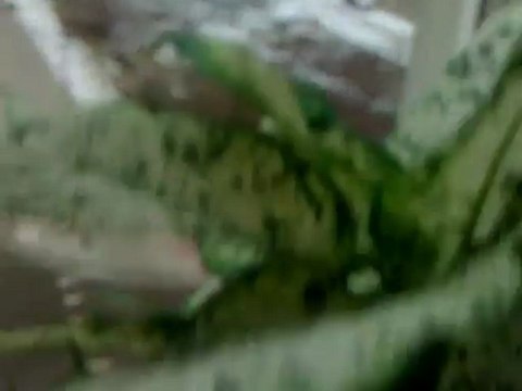 Zadanie od Paweł Soczyński