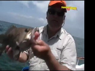 Panorama de Pesca TV 53