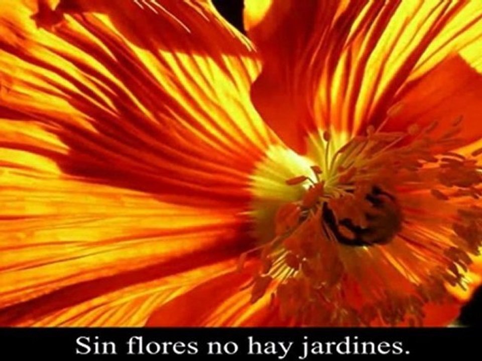 Para ser Feliz