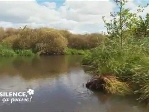 Présentation des Réserves Naturelles - Lac de Remoray (25) - Lac de Grand-Lieu (44)