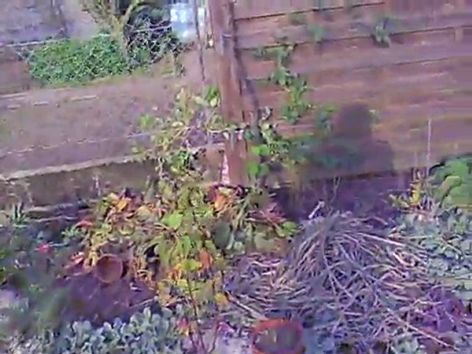 C'est officiel, c'est l'hiver...