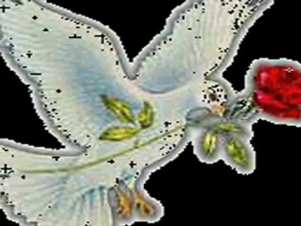 Ahh yaralı güvercinim ahh (Y .JANUARY )