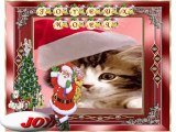 Joyeux Noel et bonne année..par nos amis(es) chats et chiens...-12-22-16-52_wmv