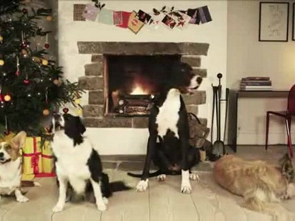 Des chiens qui chantent Noël