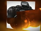 Best Bargain Review - Fujifilm FinePix S2950 14 MP ...