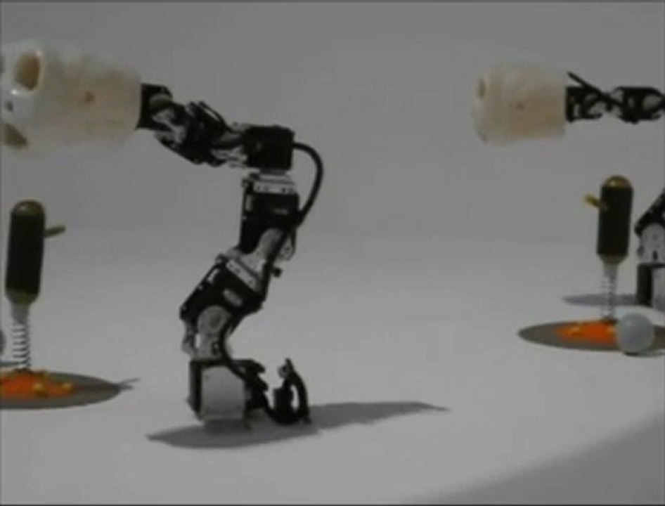 Ergo-Robots/Flowers Fields