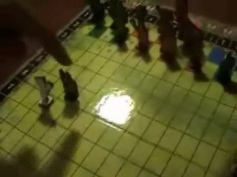 Planszówki Są Nadal Fajne #3 Bitwa Pod Grunwaldem