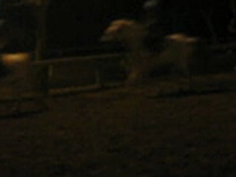 Daisy et Juliette !!