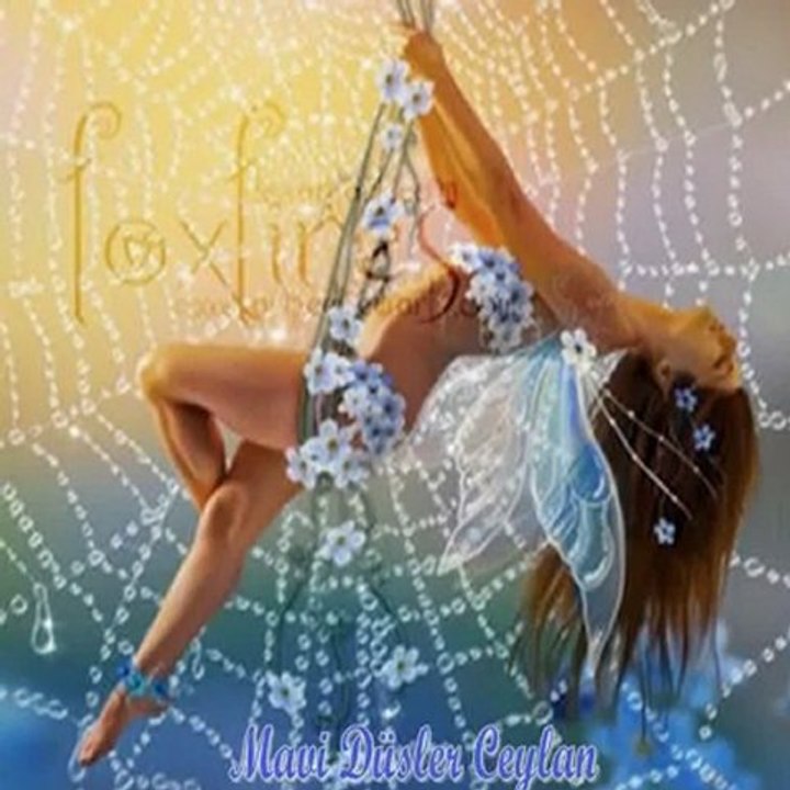 Bir Gün Aşklar Biter