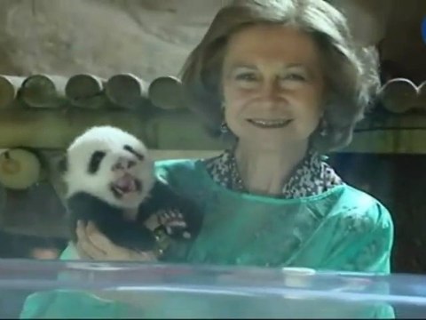 20101105 WEB doñasofiavistapandas CM