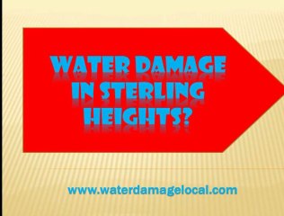 Sterling Heights MI Water Damage Company