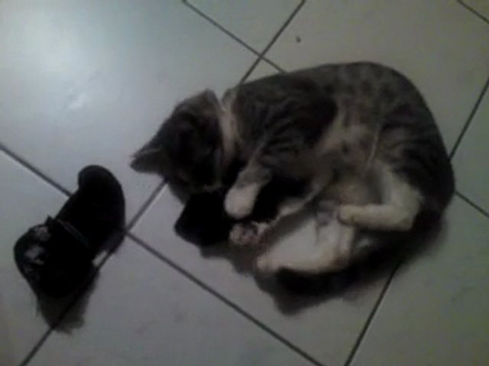 chaki qui s'existe sur mes chaussettes