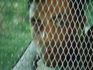 Telly-Tv.com - Aazaan 2011 DVD RIP Watch Online Part 4/5 (HQ)