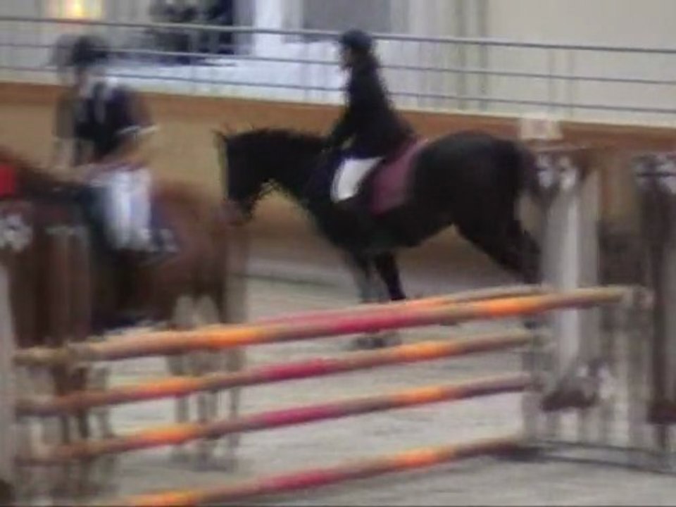 Titi winter tour 105 17 décembre 2011