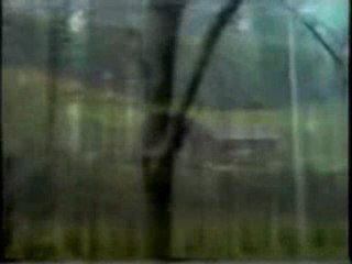 Tales from the darkside - serie - generique vo