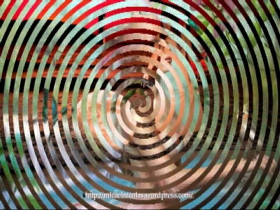 TAMMY  WYNETTE  --  Mini  concert