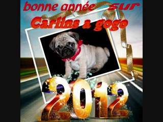 concours photos décembre 2011