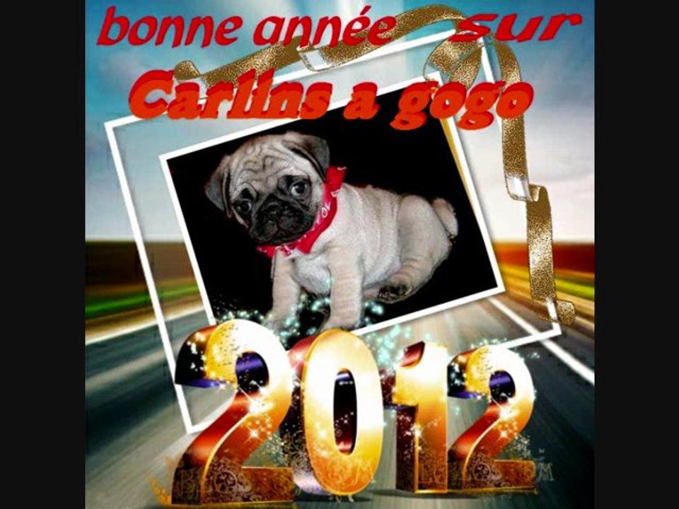 concours photos décembre 2011