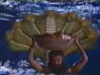 Ramanand Sagar Shri Krishna Janmashtami 4